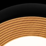 10255/350 Black Потолочный светильник LOFT IT Folk — изображение 5