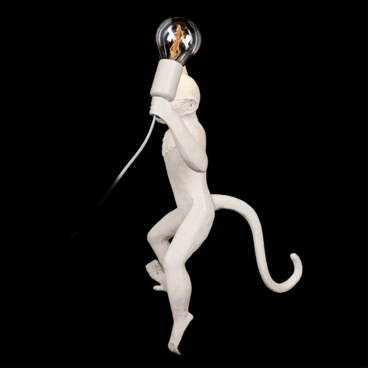 10314W/B Настенный светильник LOFT IT Monkey — изображение 4