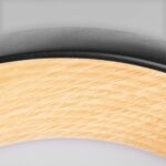 10255/500 Black Потолочный светильник LOFT IT Folk — изображение 4