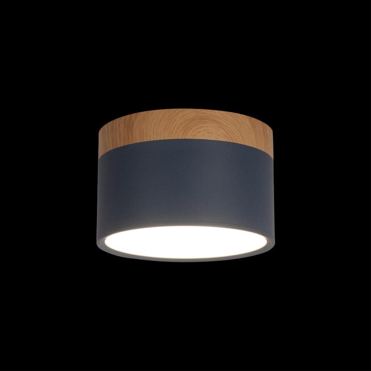 10162 Blue Накладной светильник LOFT IT Grape — изображение 2