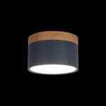 10162 Blue Накладной светильник LOFT IT Grape — изображение 2