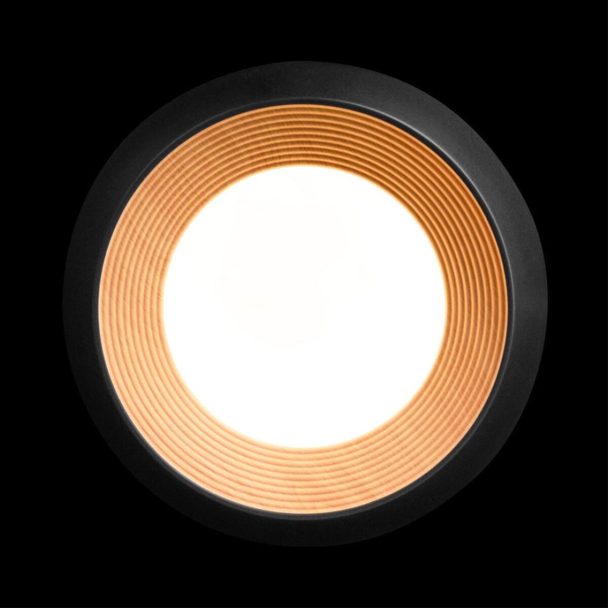 10255/350 Black Потолочный светильник LOFT IT Folk — изображение 3