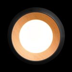 10255/350 Black Потолочный светильник LOFT IT Folk — изображение 3