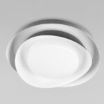 10256 Black Потолочный светильник LOFT IT Petale — изображение 3