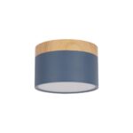 10162 Blue Накладной светильник LOFT IT Grape