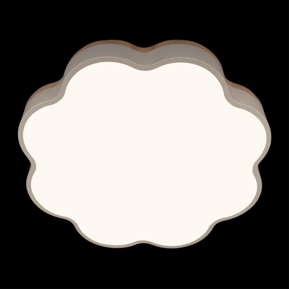 10225/36 White Потолочный светильник LOFT IT Axel — изображение 6