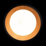 10255/500 Black Потолочный светильник LOFT IT Folk — изображение 3