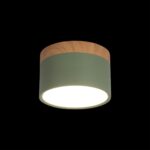 10162 Green Накладной светильник LOFT IT Grape — изображение 2