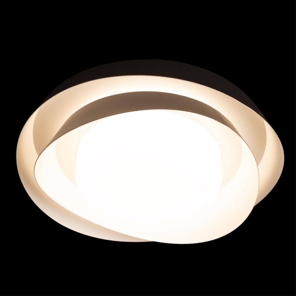 10256 Black Потолочный светильник LOFT IT Petale — изображение 4