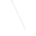 10359/1000 White Потолочный светильник LOFT IT Cane