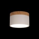 10162 White Накладной светильник LOFT IT Grape — изображение 2