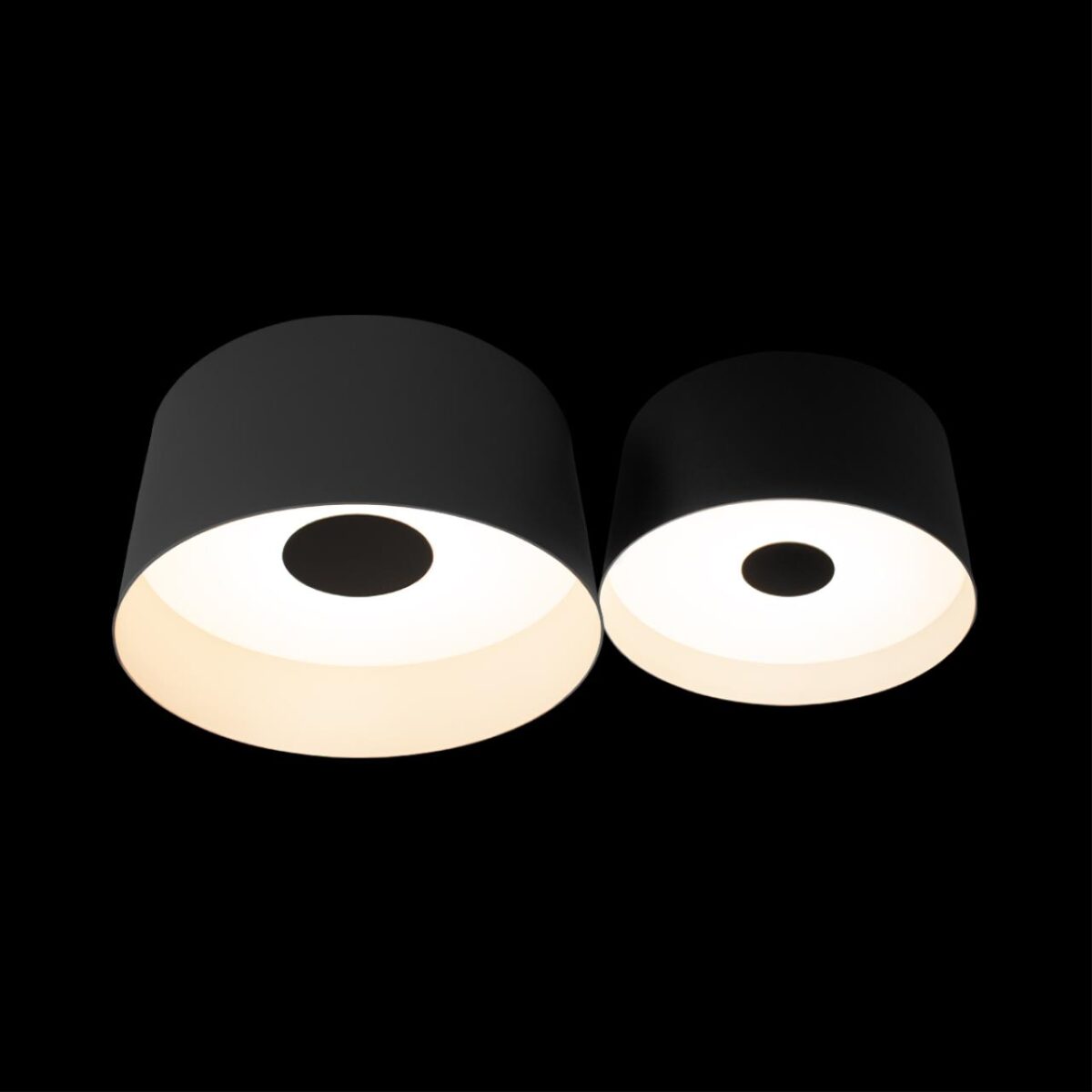 10360/2 Потолочный светильник LOFT IT Duo — изображение 2