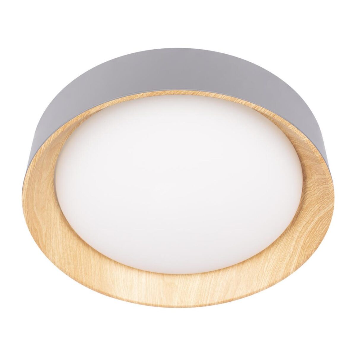 10202 Grey Потолочный светильник LOFT IT Coin — изображение 5