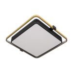 10172 Потолочный светильник LOFT IT Mike