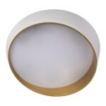 10199 White Потолочный светильник LOFT IT Coin — изображение 3