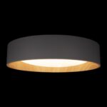 10202 Grey Потолочный светильник LOFT IT Coin — изображение 4