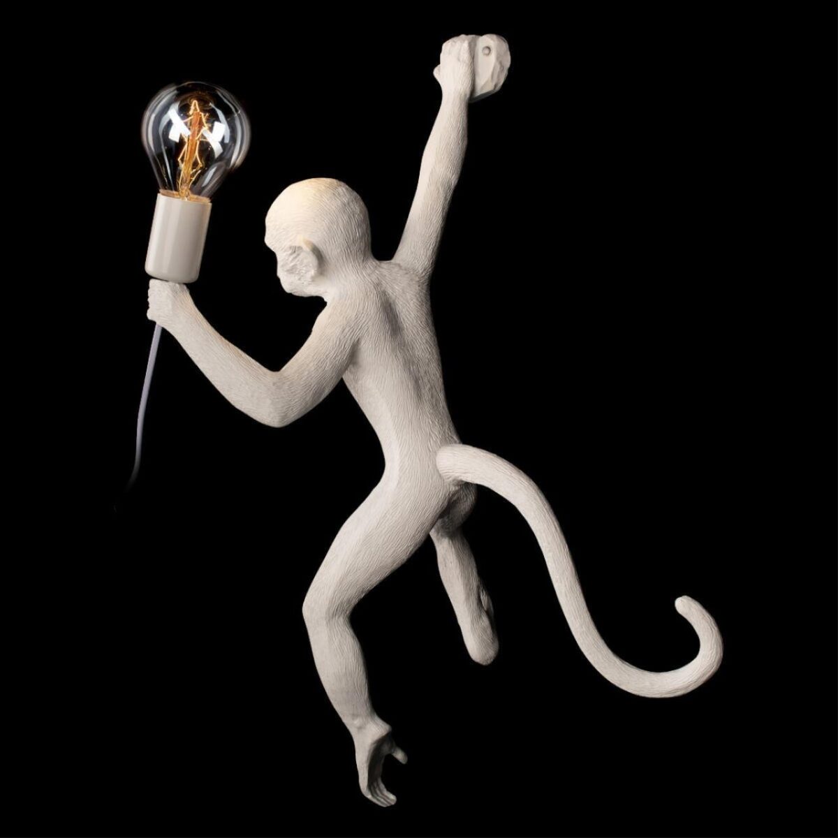 10314W/B Настенный светильник LOFT IT Monkey — изображение 6