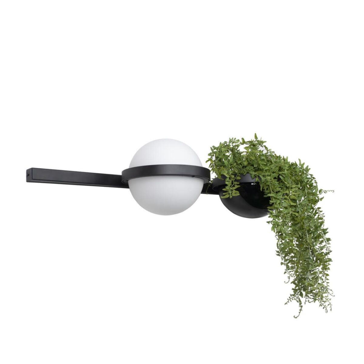 10121W/A Настенный светильник LOFT IT Jardin — изображение 3