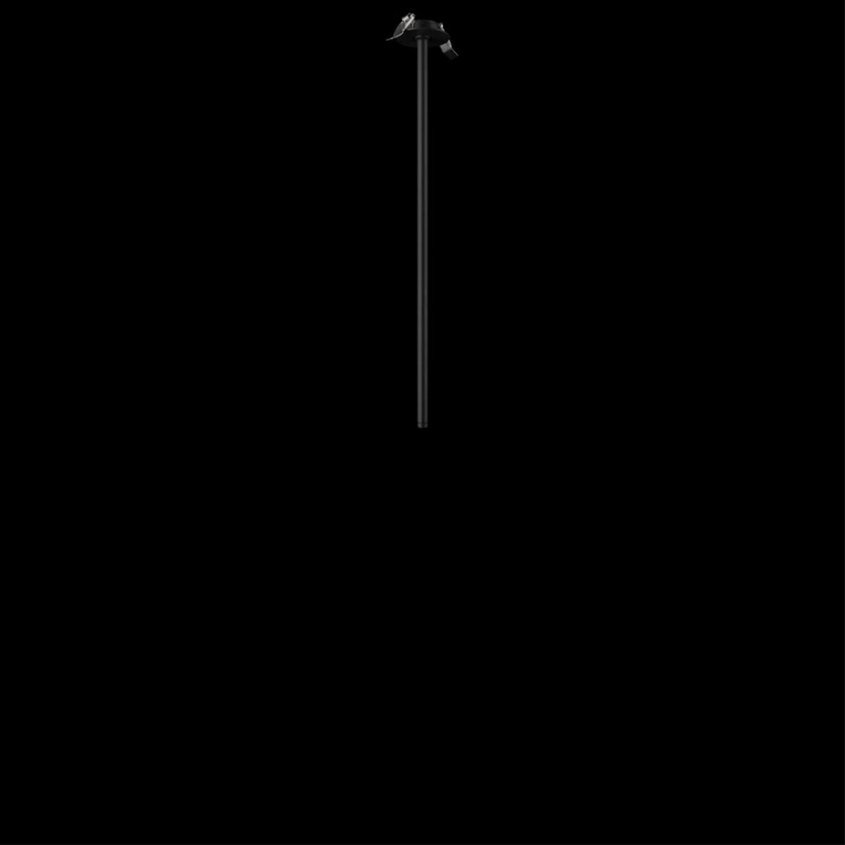 10359/600 Black Потолочный светильник LOFT IT Cane — изображение 8