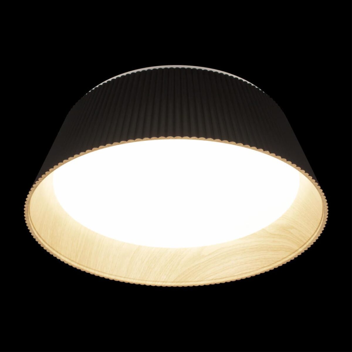 10224 Black Потолочный светильник LOFT IT Evans — изображение 4