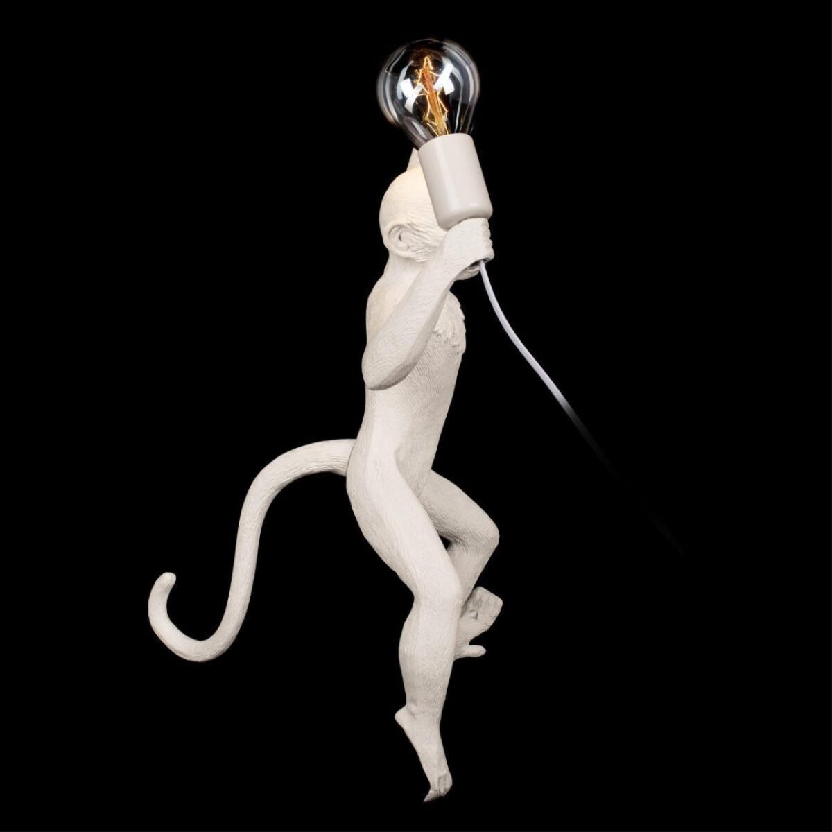 10314W/A Настенный светильник LOFT IT Monkey — изображение 4