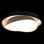 10256 Black Потолочный светильник LOFT IT Petale — изображение 2