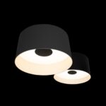 10360/2 Потолочный светильник LOFT IT Duo — изображение 6