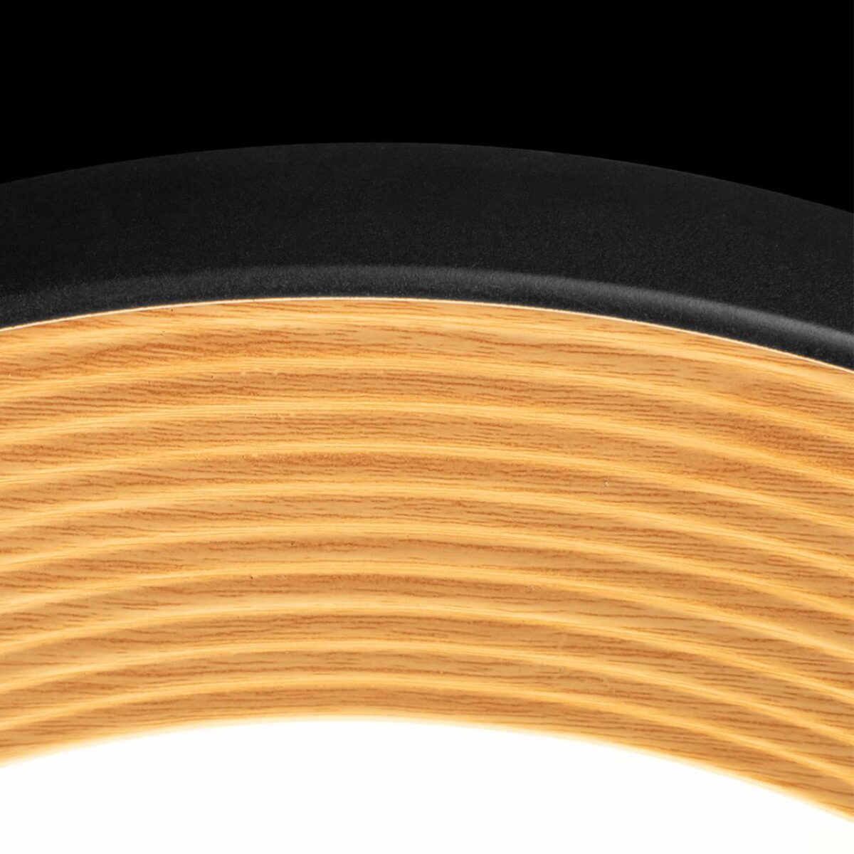 10255/500 Black Потолочный светильник LOFT IT Folk — изображение 5