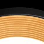 10255/500 Black Потолочный светильник LOFT IT Folk — изображение 5