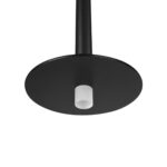 10358/830 Disk Подвесной светильник LOFT IT Reed — изображение 5