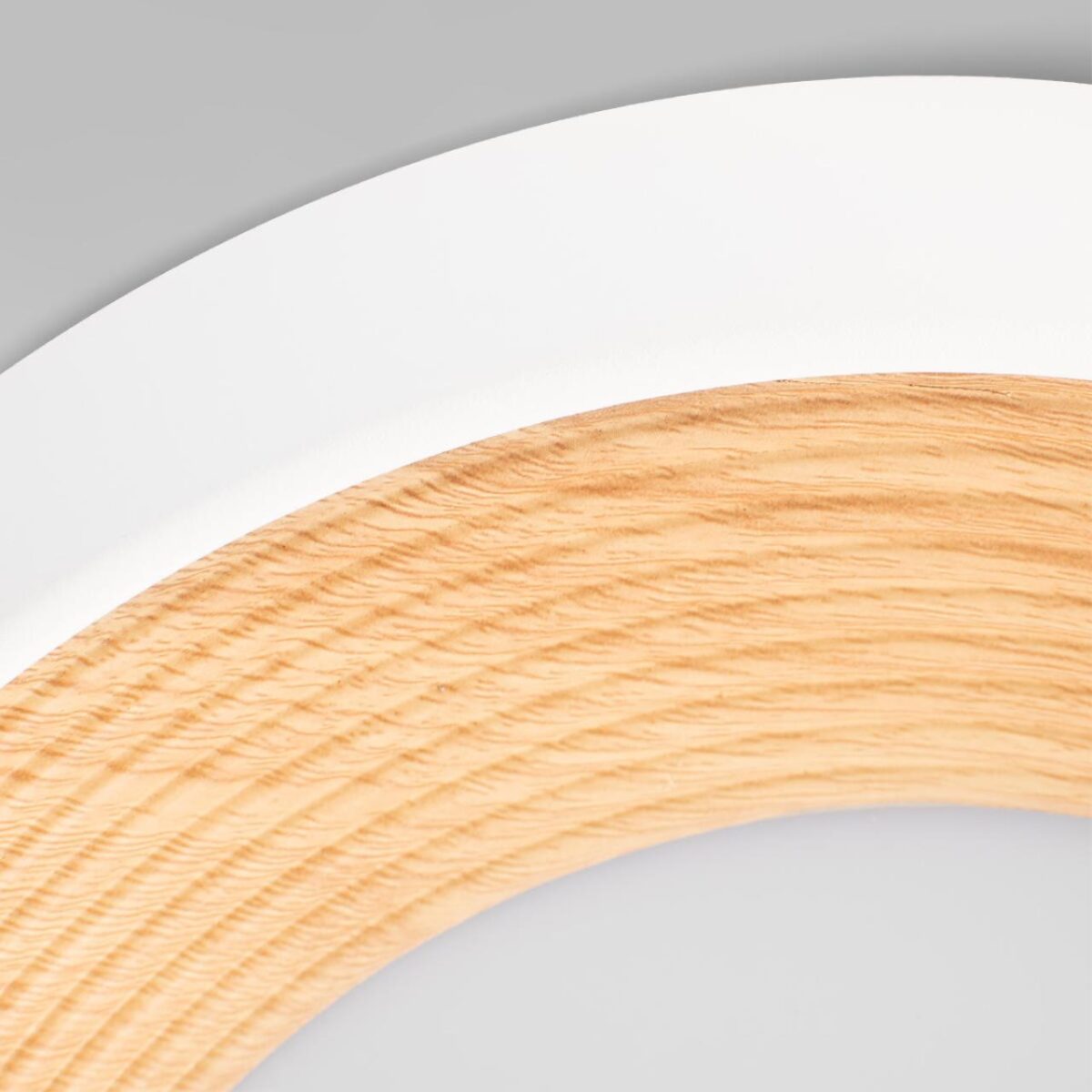 10255/350 White Потолочный светильник LOFT IT Folk — изображение 4