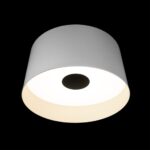 10360L White Потолочный светильник LOFT IT Duo — изображение 2