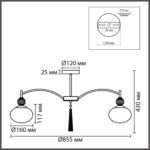 8273/8C NEOCLASSI черный/серый/белый, металл/керамика/стекло Люстра потолочная Е14 8*40W 220V GLORIYA — изображение 4