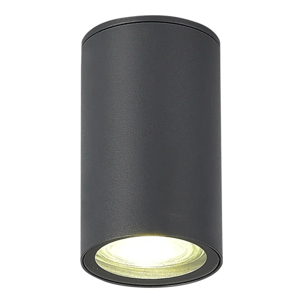 SL9010.712.01 Светильник уличный потолочный ST-Luce серый GU10 1*50W TUBO