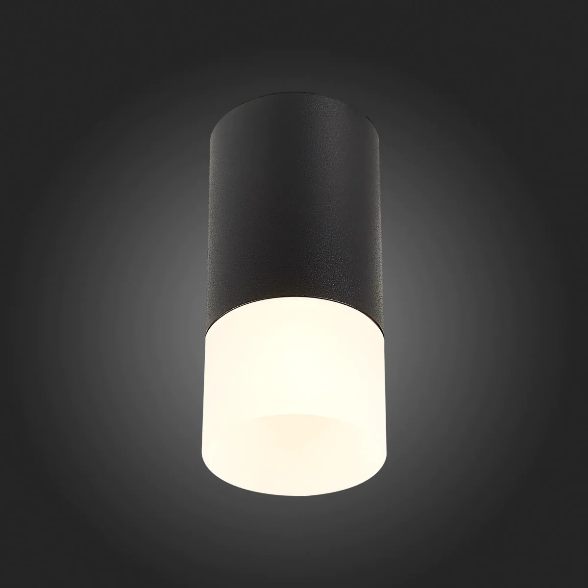 ST100.412.01 Светильник потолочный Черный GU10 1*50W IP20 D64xH131 220V Без ламп Накладные светильники — изображение 2