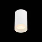 ST100.502.01 Светильник потолочный Белый GU10 1*50W IP20 D64xH99 220V Без ламп Накладные светильники