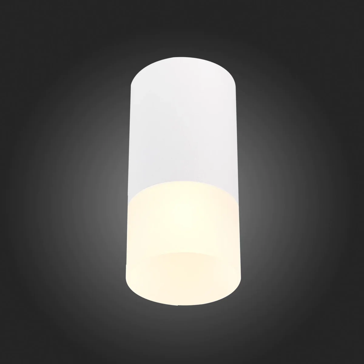 ST100.512.01 Светильник потолочный Белый GU10 1*50W IP20 D64xH131 220V Без ламп Накладные светильники — изображение 2