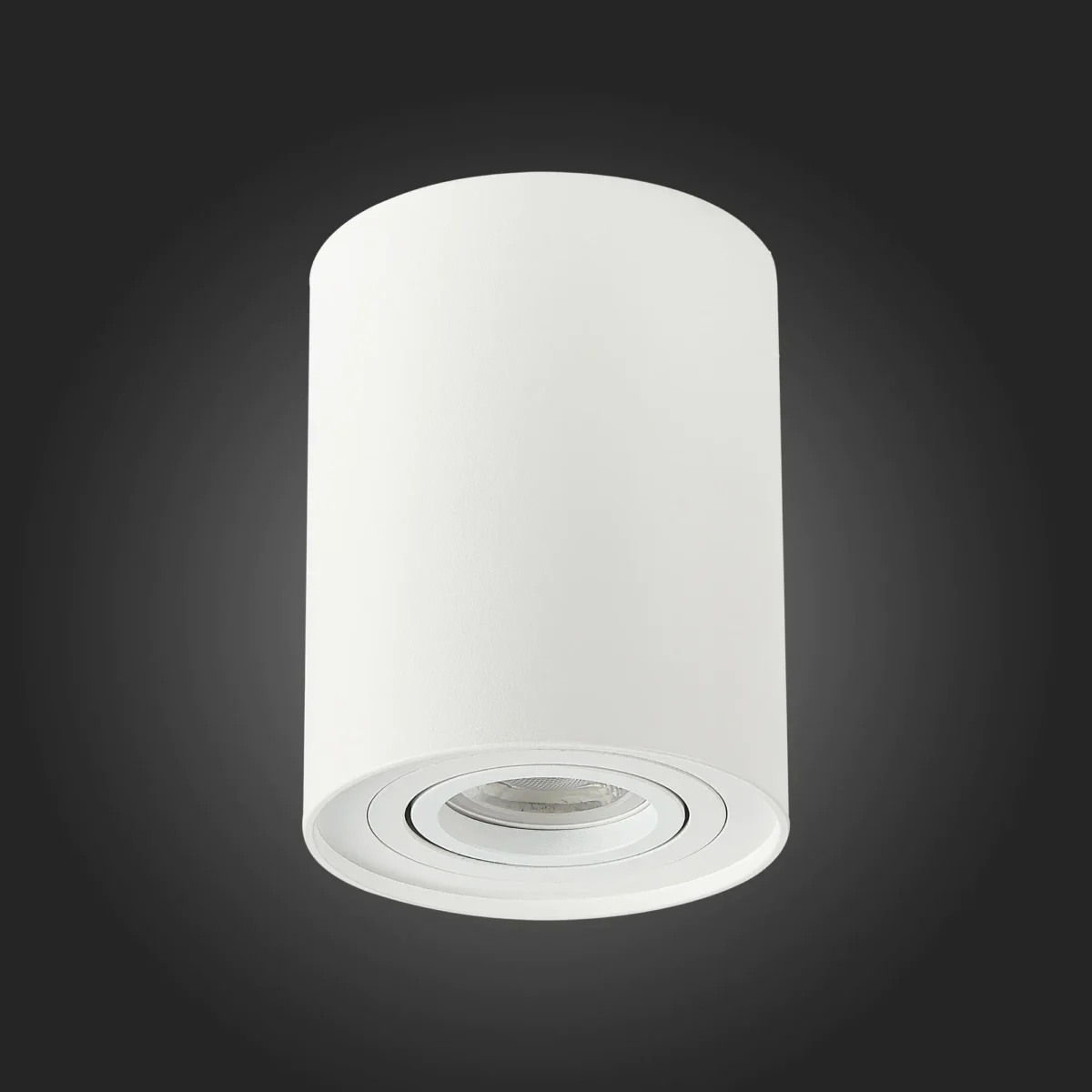 ST108.517.01 Светильник потолочный Белый GU10 1*50W  IP20 D98xH124 220V Без ламп Накладные светильники — изображение 5