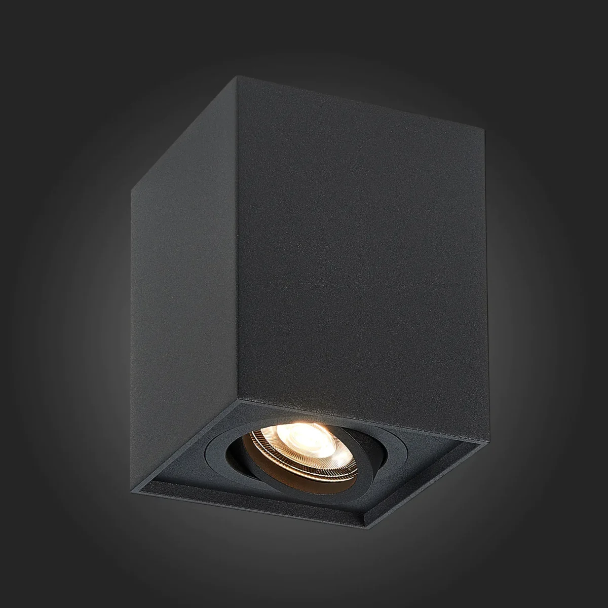 ST109.407.01 Светильник потолочный Черный GU10 1*50W  L100xW100xH123 220V Без ламп Накладные светильники — изображение 2