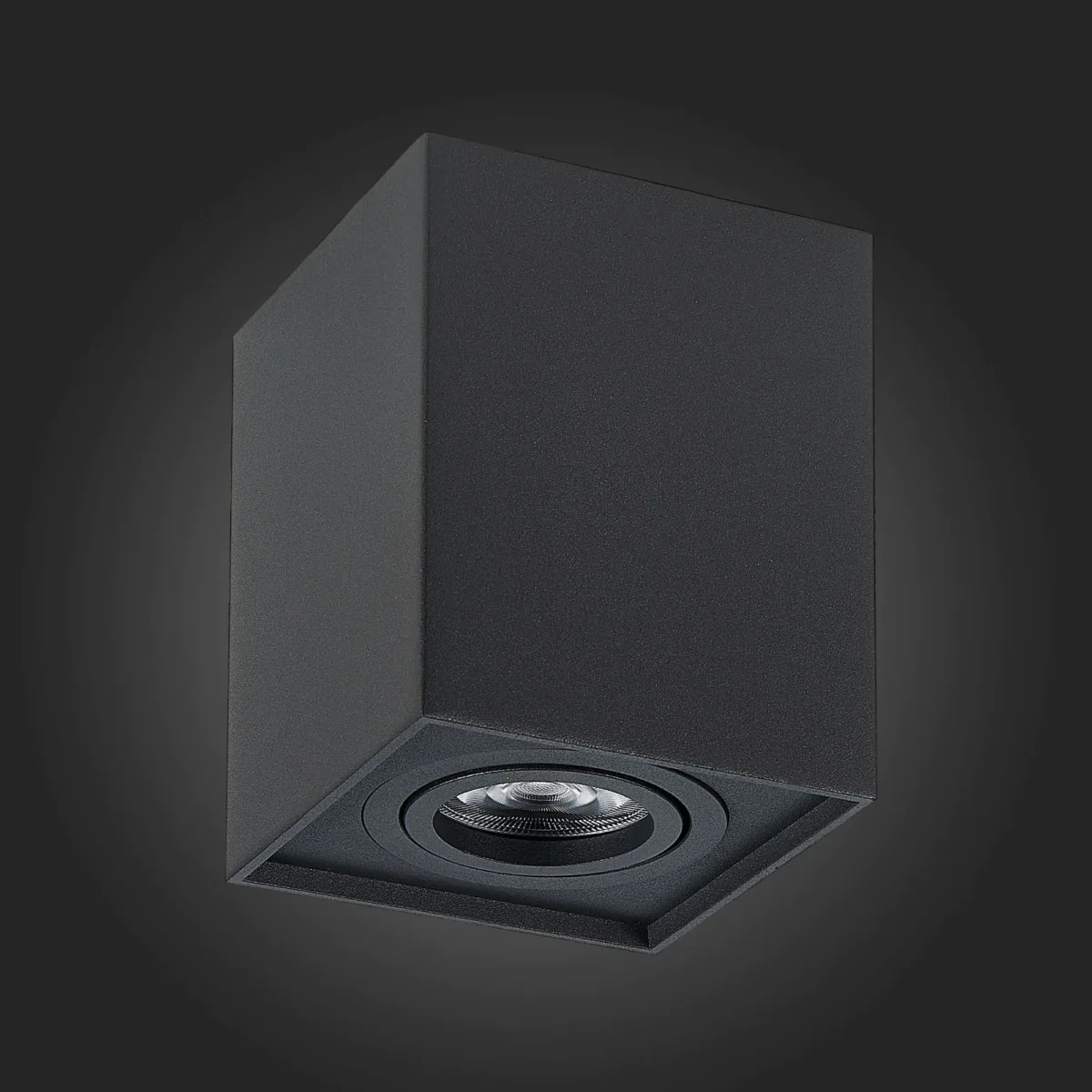 ST109.407.01 Светильник потолочный Черный GU10 1*50W  L100xW100xH123 220V Без ламп Накладные светильники — изображение 5