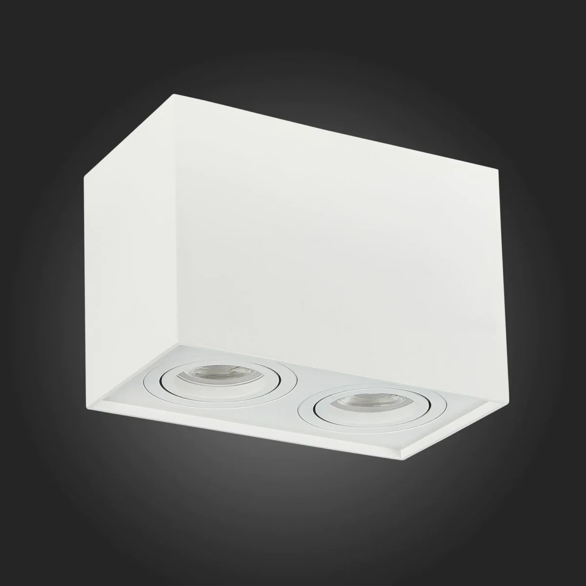 ST109.507.02 Светильник потолочный Белый GU10 2*50W  L181xW100xH123 220V Без ламп Накладные светильники — изображение 5