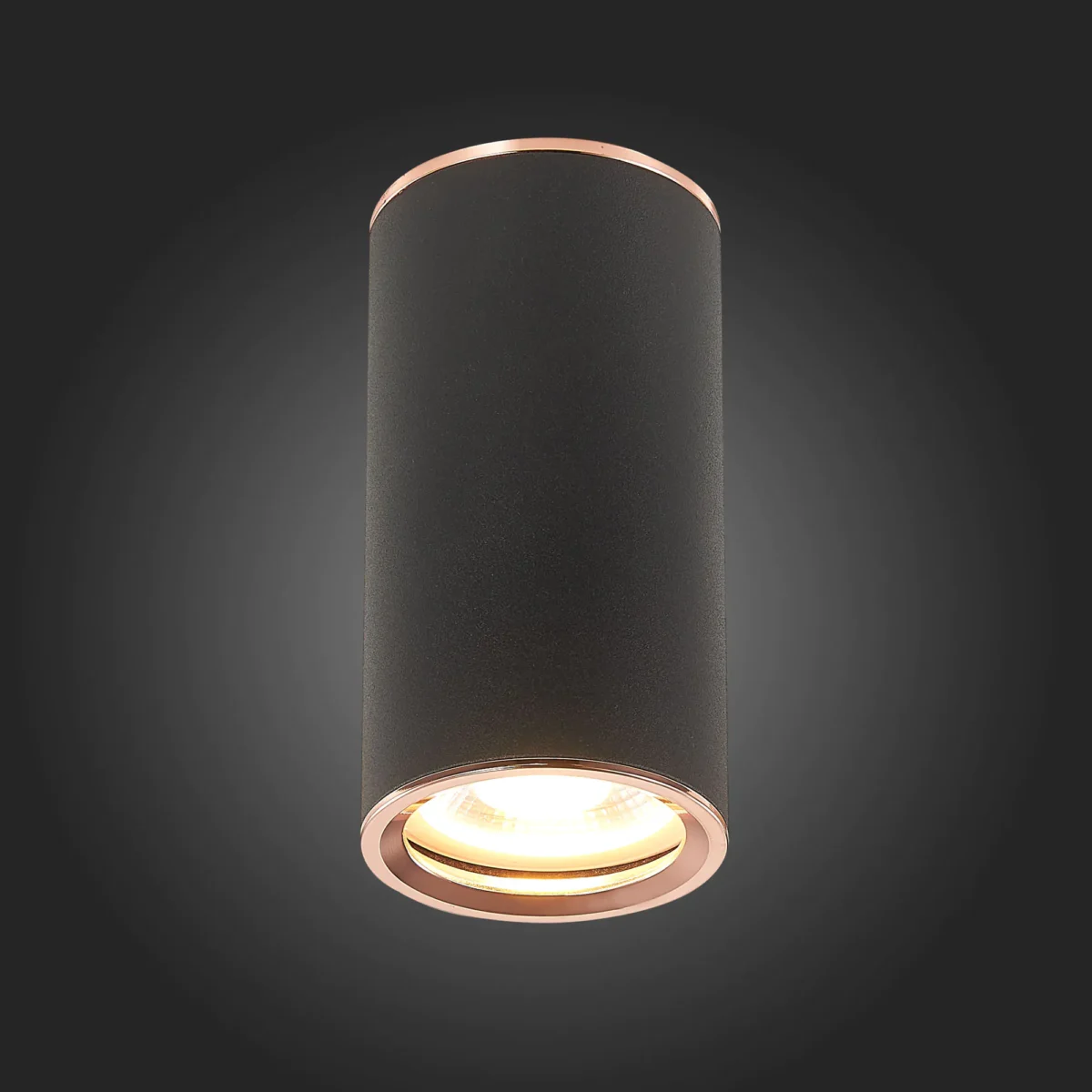 ST111.427.01 Светильник потолочный Черный GU10 1*50W D54xH105 220V Без ламп Накладные светильники — изображение 2