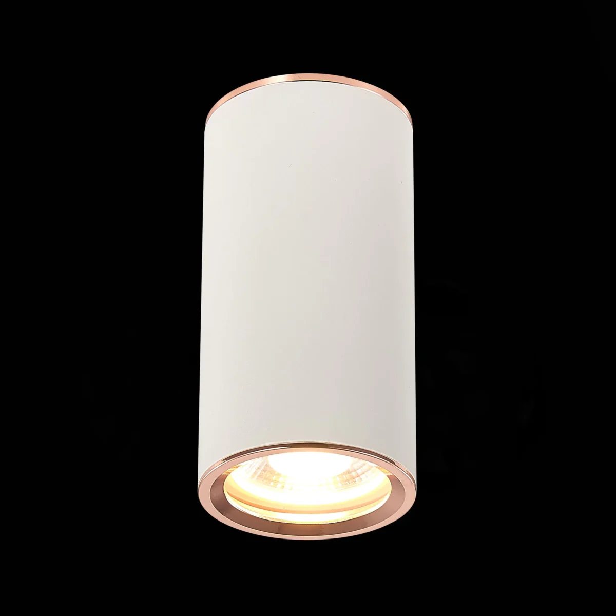 ST111.527.01_01B ST111.527.01 Светильник потолочный Белый GU10 1*50W D54xH105 220V Без ламп Накладные светильники — изображение 1