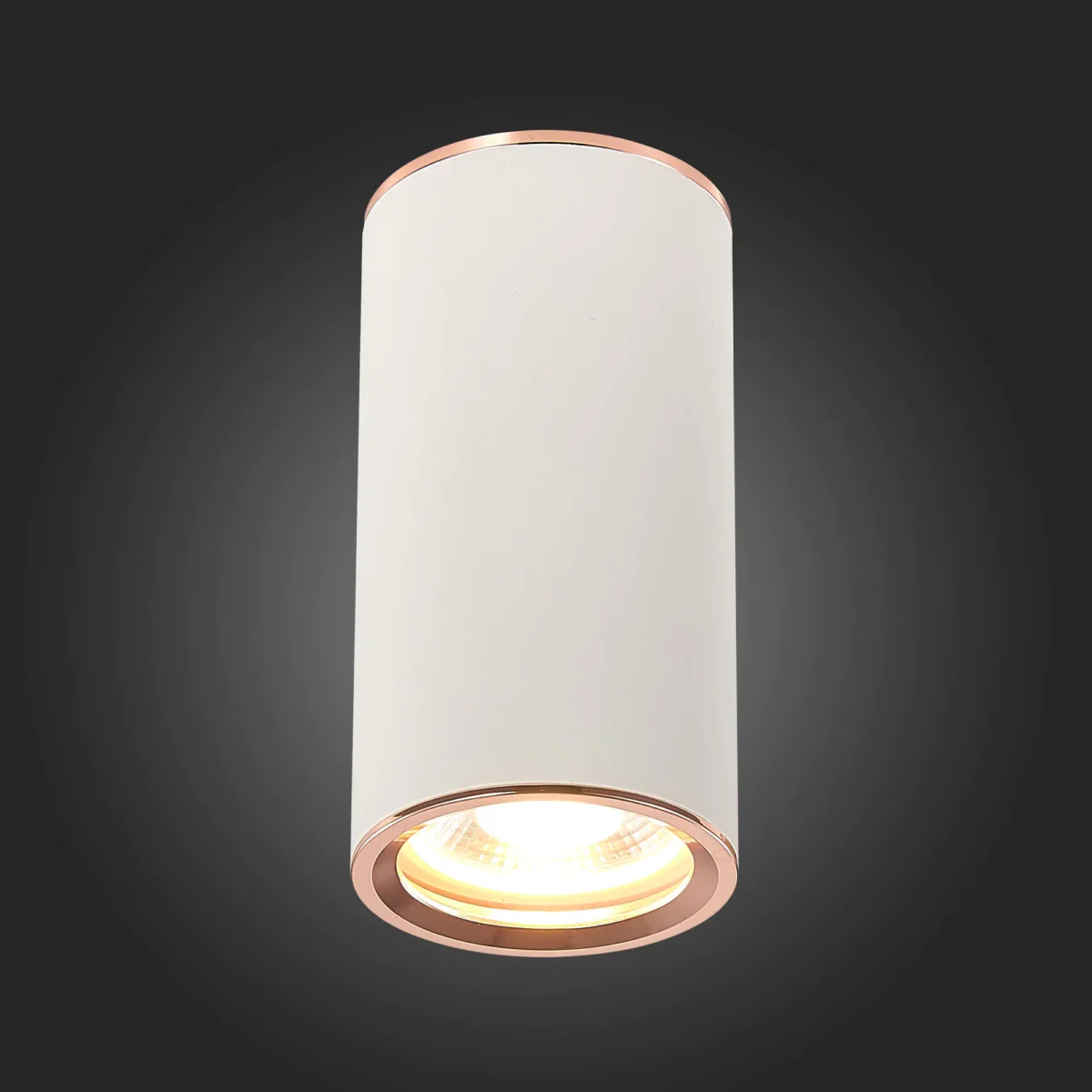 ST111.527.01 Светильник потолочный Белый GU10 1*50W D54xH105 220V Без ламп Накладные светильники — изображение 2