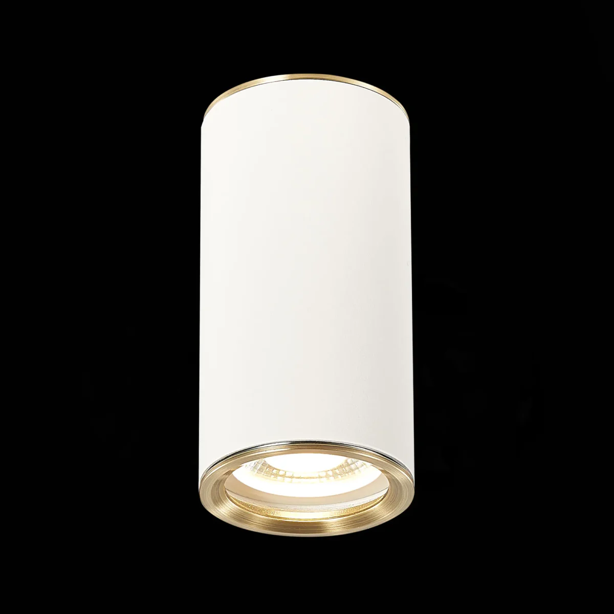 ST111.537.01_01B ST111.537.01 Светильник потолочный Белый GU10 1*50W D54xH105 220V Без ламп Накладные светильники — изображение 1