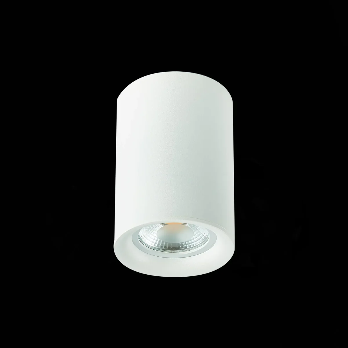 ST114.507.01 Светильник потолочный Белый GU10 1*50W  IP20 L65xW65xH93 220V Без ламп Накладные светильники — изображение 4