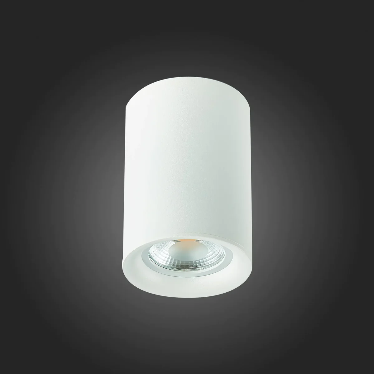 ST114.507.01 Светильник потолочный Белый GU10 1*50W  IP20 L65xW65xH93 220V Без ламп Накладные светильники — изображение 5