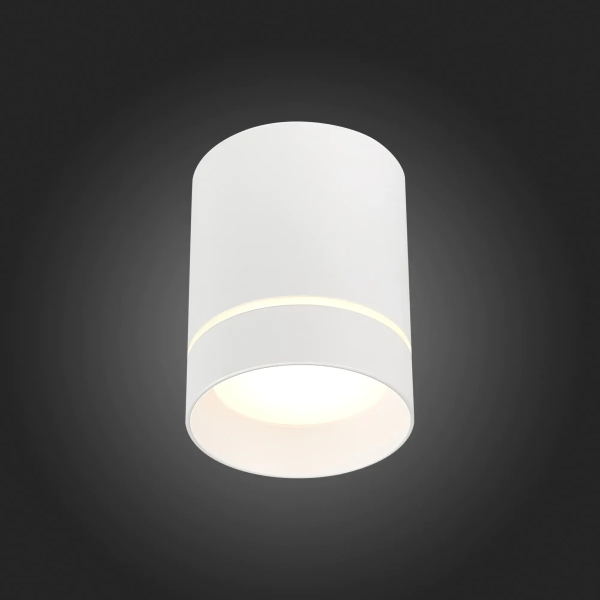 ST115.542.07 Светильник потолочный Белый LED 1*7W 4000K 490Lm Ra>90 120° IP20 D79xH100 170-240V Накладные светильники — изображение 2