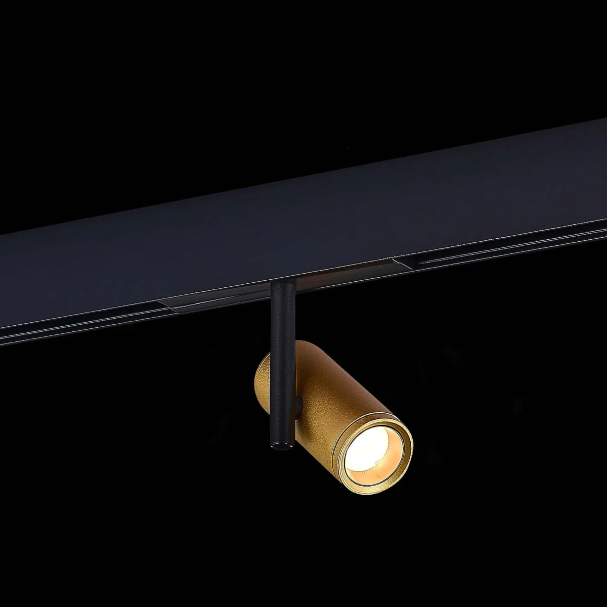 ST808.236.08_01B ST808.236.08 Магнитный трековый светильник Золотистый LED 1*8W 3000K 550Lm Ra>90 36° IP20 D42xH135 4 SKYLINE 48 — изображение 1