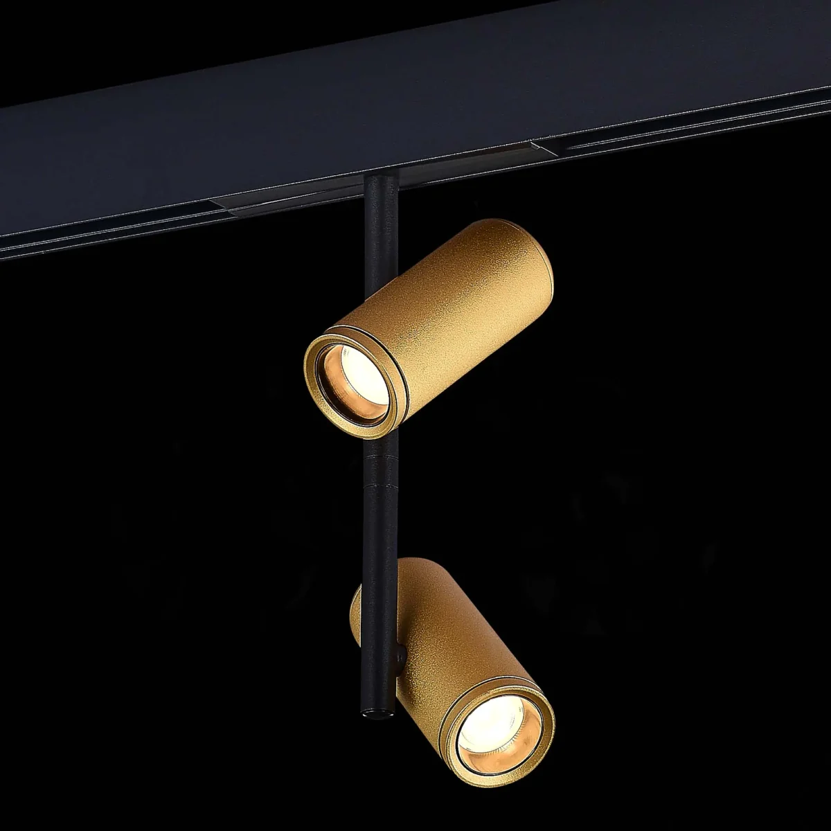 ST808.236.16 Магнитный трековый светильник Золотистый LED 1*16W 3000K 1 100Lm Ra>90 36° IP20 D45xH24 SKYLINE 48 — изображение 1